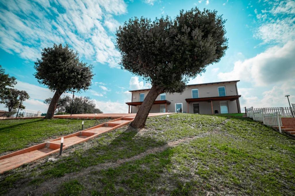 Agriturismo Il Colle Dei Lecci Ancona Exteriér fotografie